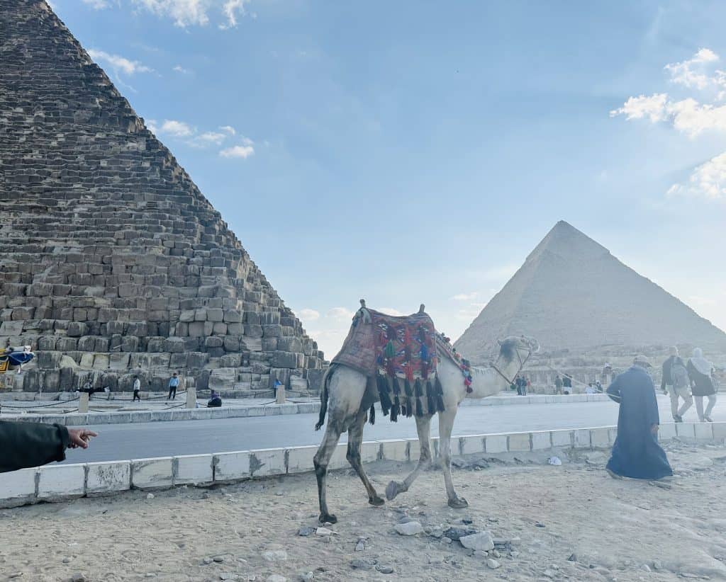 Camel vendor scammer who tried being friendly