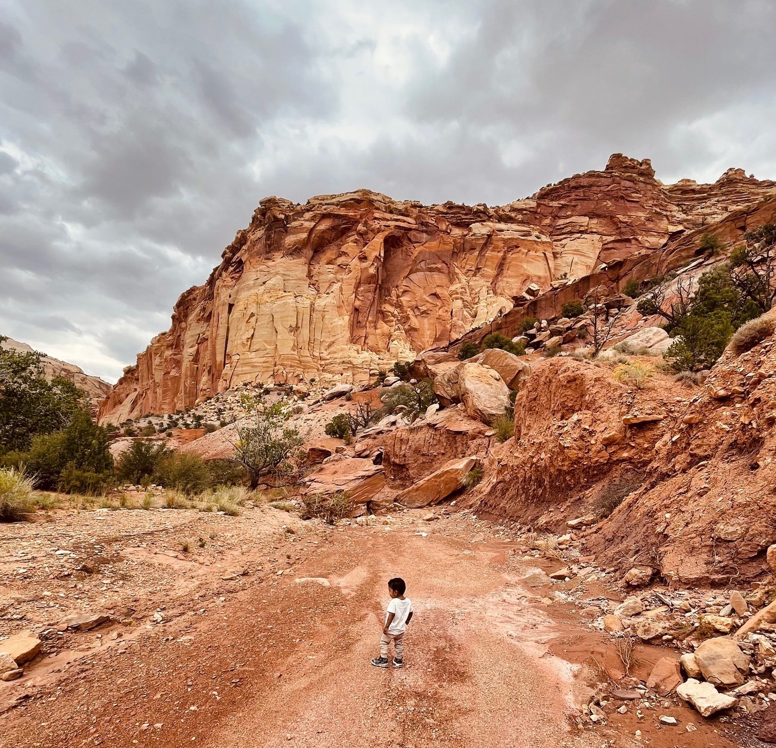 Red rock cliffs and scenic views at Capitol Reef National Park during a family-friendly Utah road trip with kids