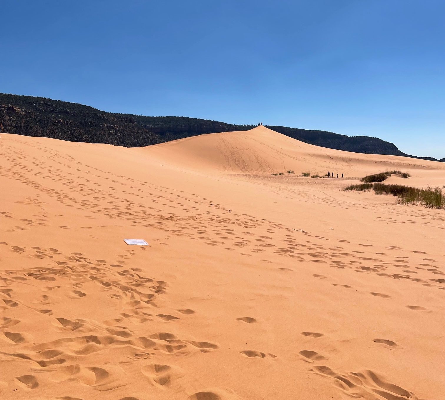 Coral Pink Sand Dunes State Park on a Utah road trip with kids, featuring soft pink sand dunes and wide open desert views